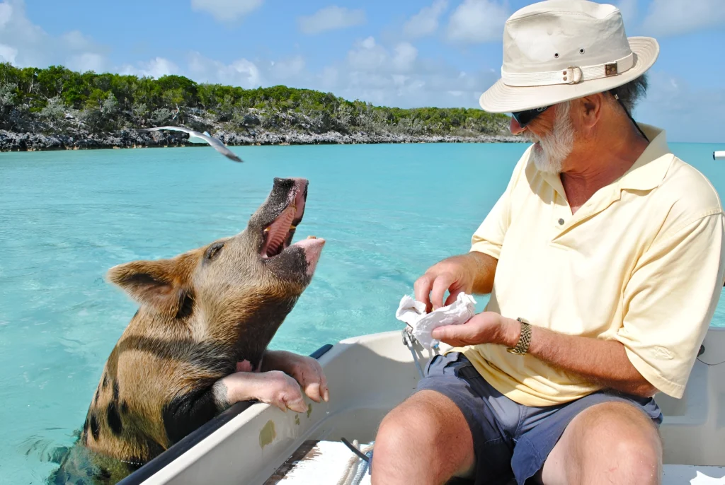 bahamas beaches