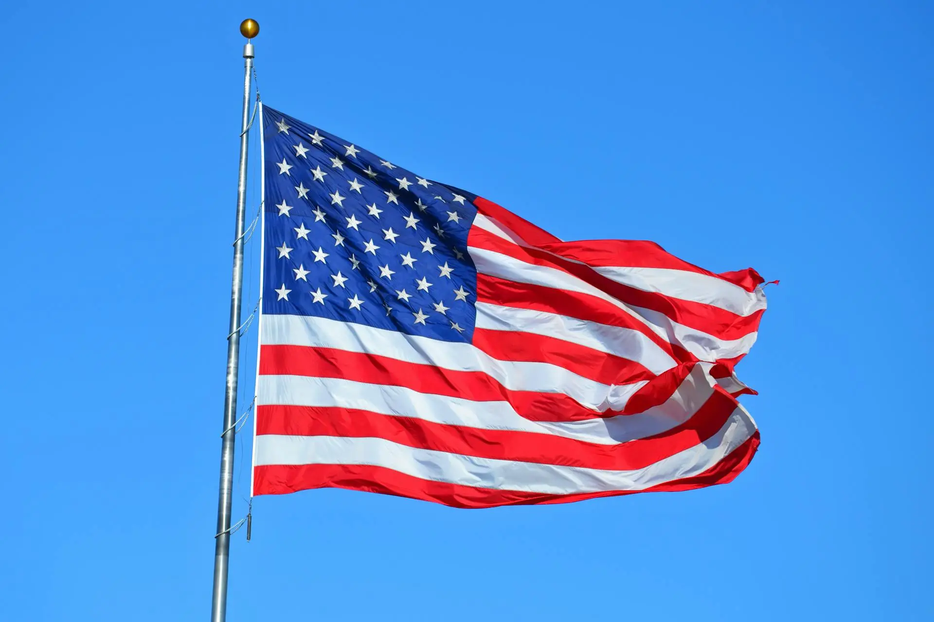 flag of the usa