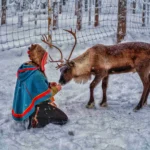 the Sami culture